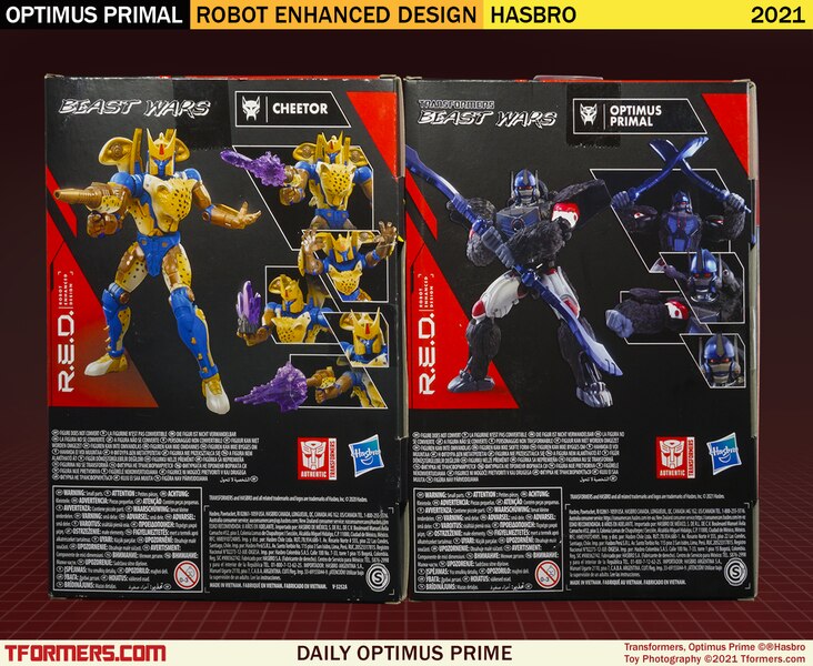 Daily Prime   Robot Enhanced Design Beast Wars Optimus Primal  (2 of 2)